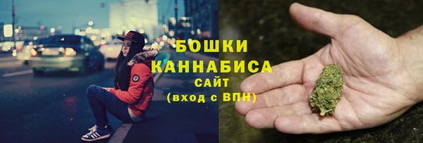 мдпв Костерёво