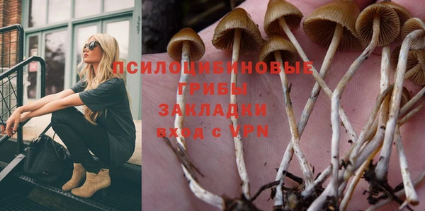 прущие крисы Коряжма