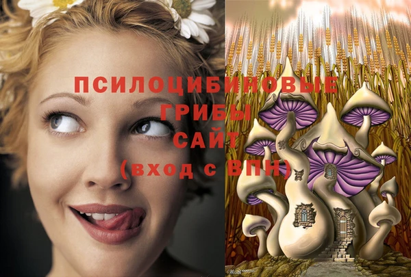 трава Краснослободск