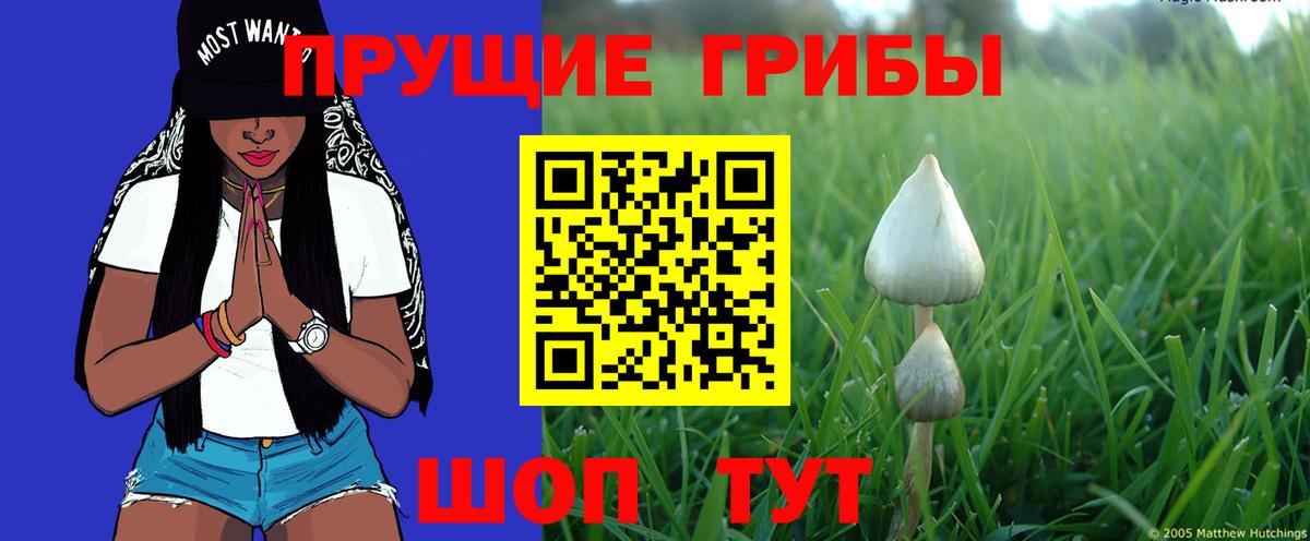 Псилоцибиновые грибы Magic Shrooms  Вход с VPN  Янаул 